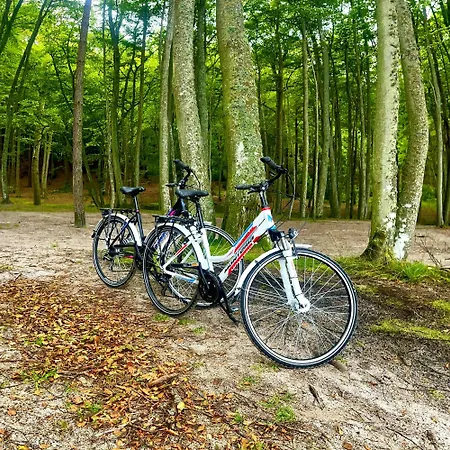 Apartment Wczasowa Z Tarasem/ogrodkiem Ustka